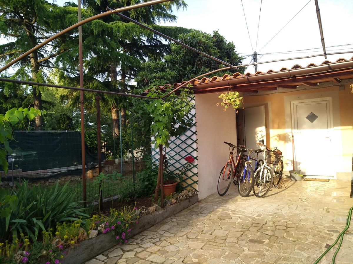 Anica With Parking