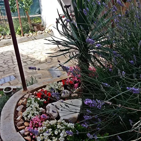Apartments Anica Rovinj Exterior photo