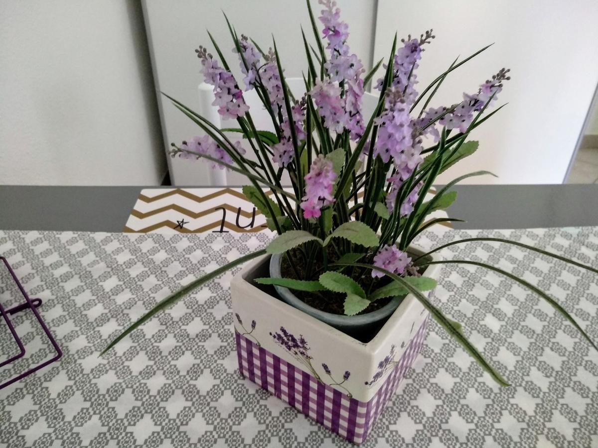Apartment Anica *